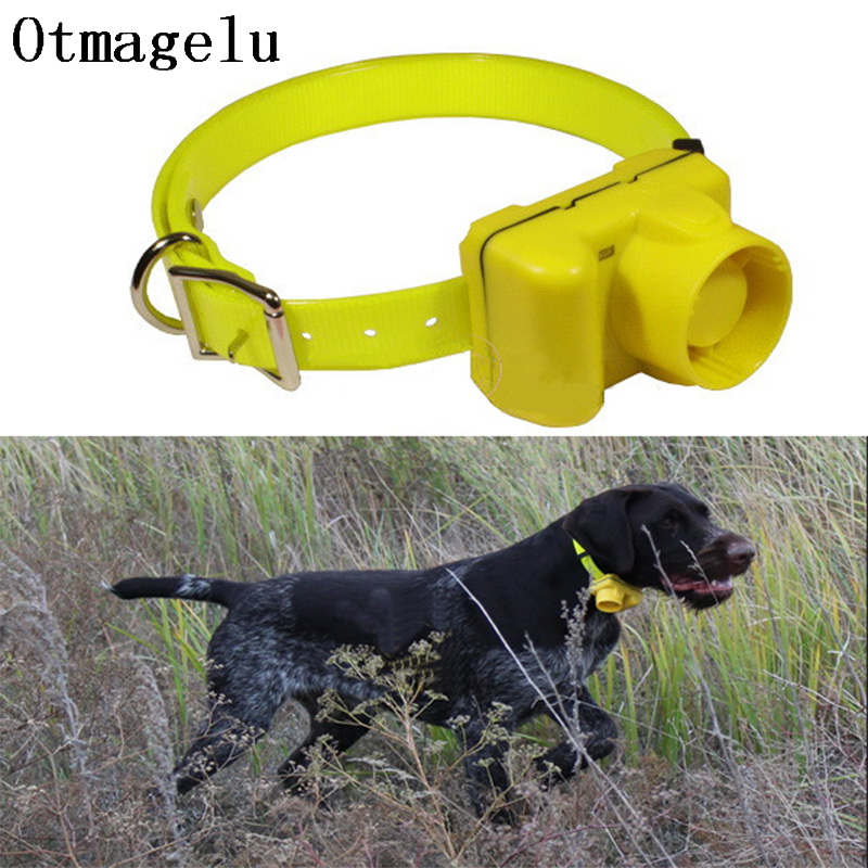 Training Clicker Dog - Pengocok anjing berburu profesional, kerah latihan