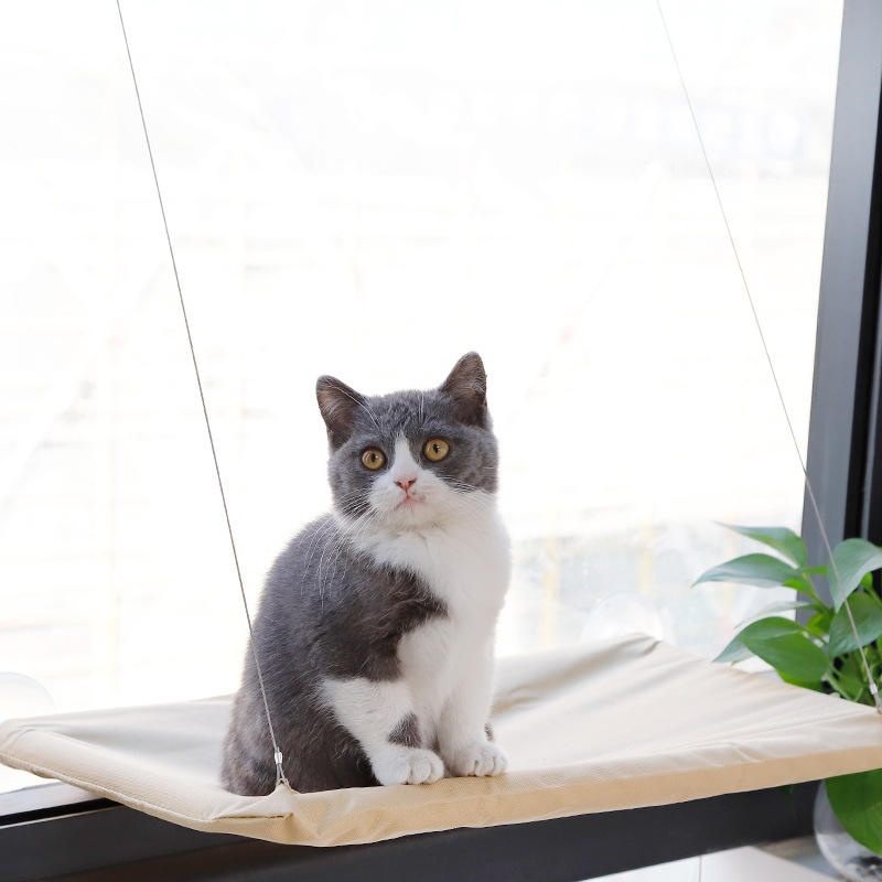Hammock Jendela Kucing Dengan  - Cat Window Perch ulasan dan harga