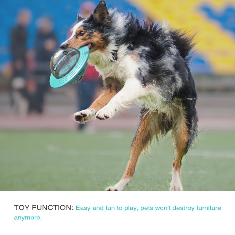 Mainan Bola Anjing Desain Inte - Dog Treat Puzzle Toy ulasan dan harga