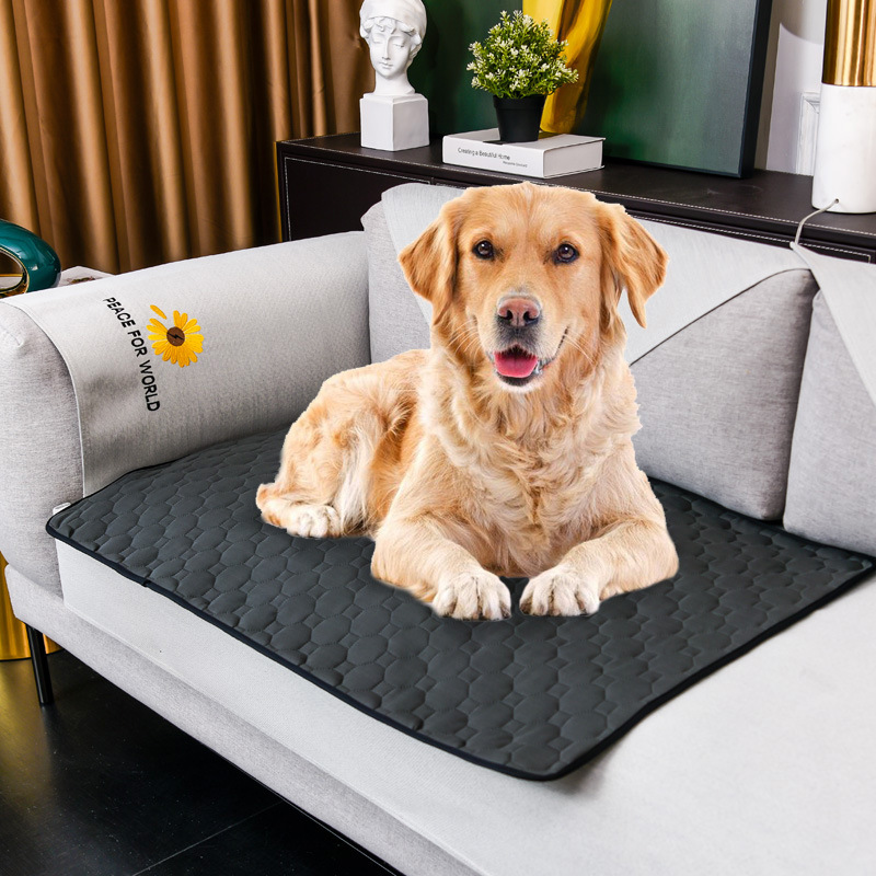 Alas Pipis Anjing yang Dapat D - Pet Supplies Dog Wash ulasan dan harga