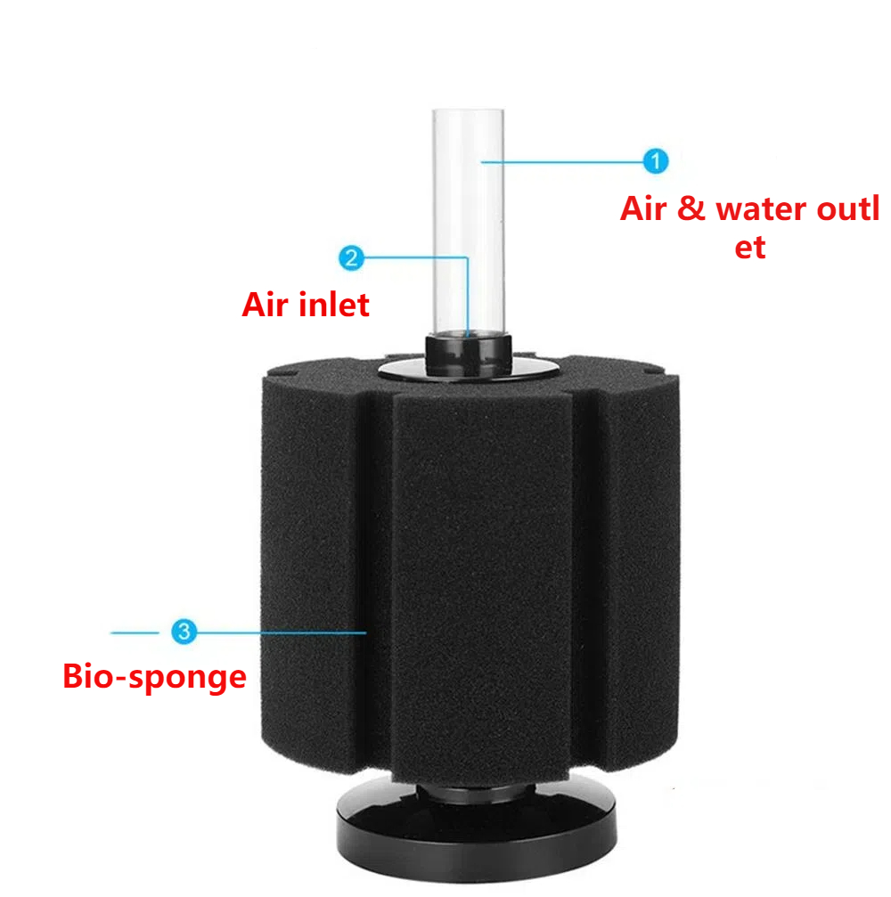 Spons Filter akuarium untuk ta - Aquael Filter Fzn ulasan dan harga