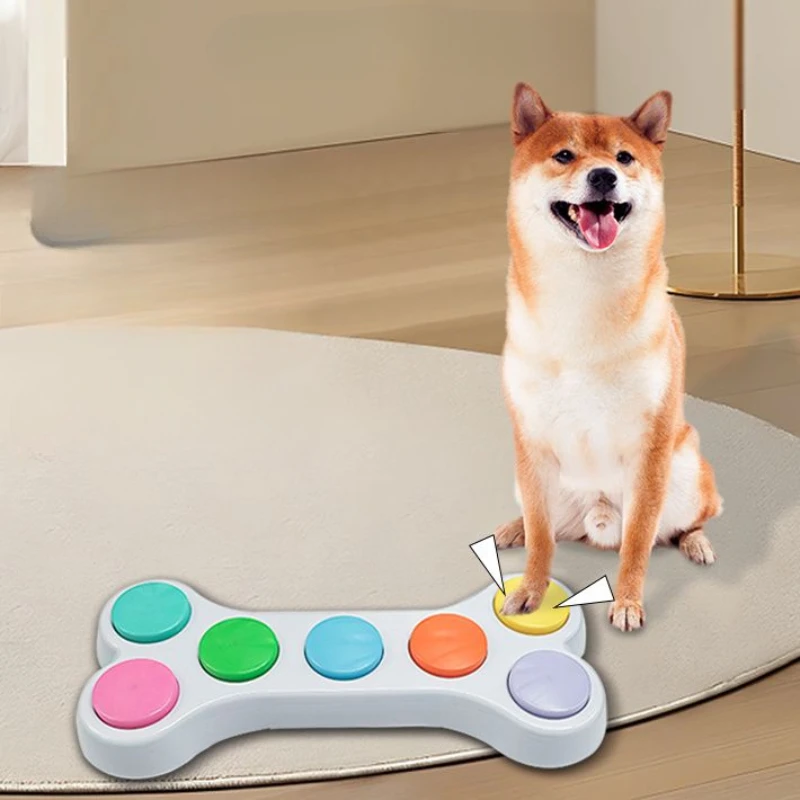Tombol rekaman Audio, mesin So - Training Clicker Dog ulasan dan harga