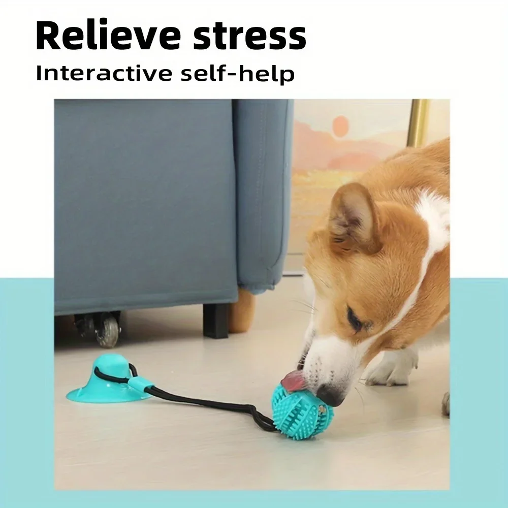 Mainan cangkir hisap anjing in - Dog Treat Puzzle Toy ulasan dan harga