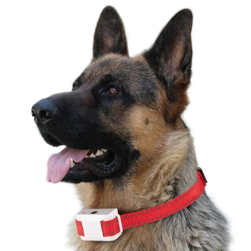 Kerah Anti kulit anjing Citron - Pet Cologne Spray ulasan dan harga