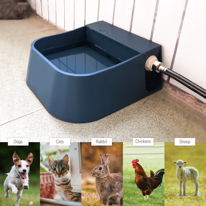 Dispenser Air Otomatis untuk A - Pet Supplies Unlimited ulasan dan harga