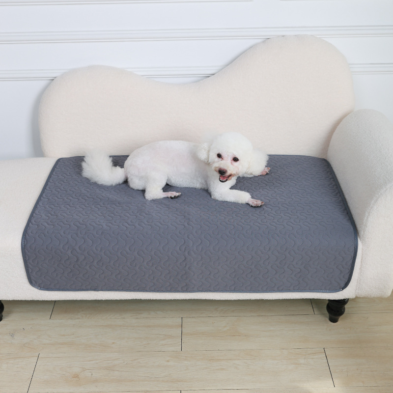 Bantalan kencing anjing dapat  - Pet Supplies Dog Wash ulasan dan harga