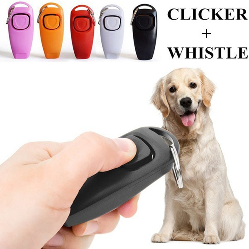 2 in 1 Alat Pelatih Anjing, Pe - Training Clicker Dog ulasan dan harga