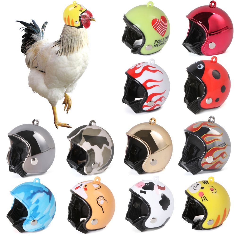 Perlengkapan Hewan Peliharaan  - Pet X Supplies & Tack Howell ulasan dan harga