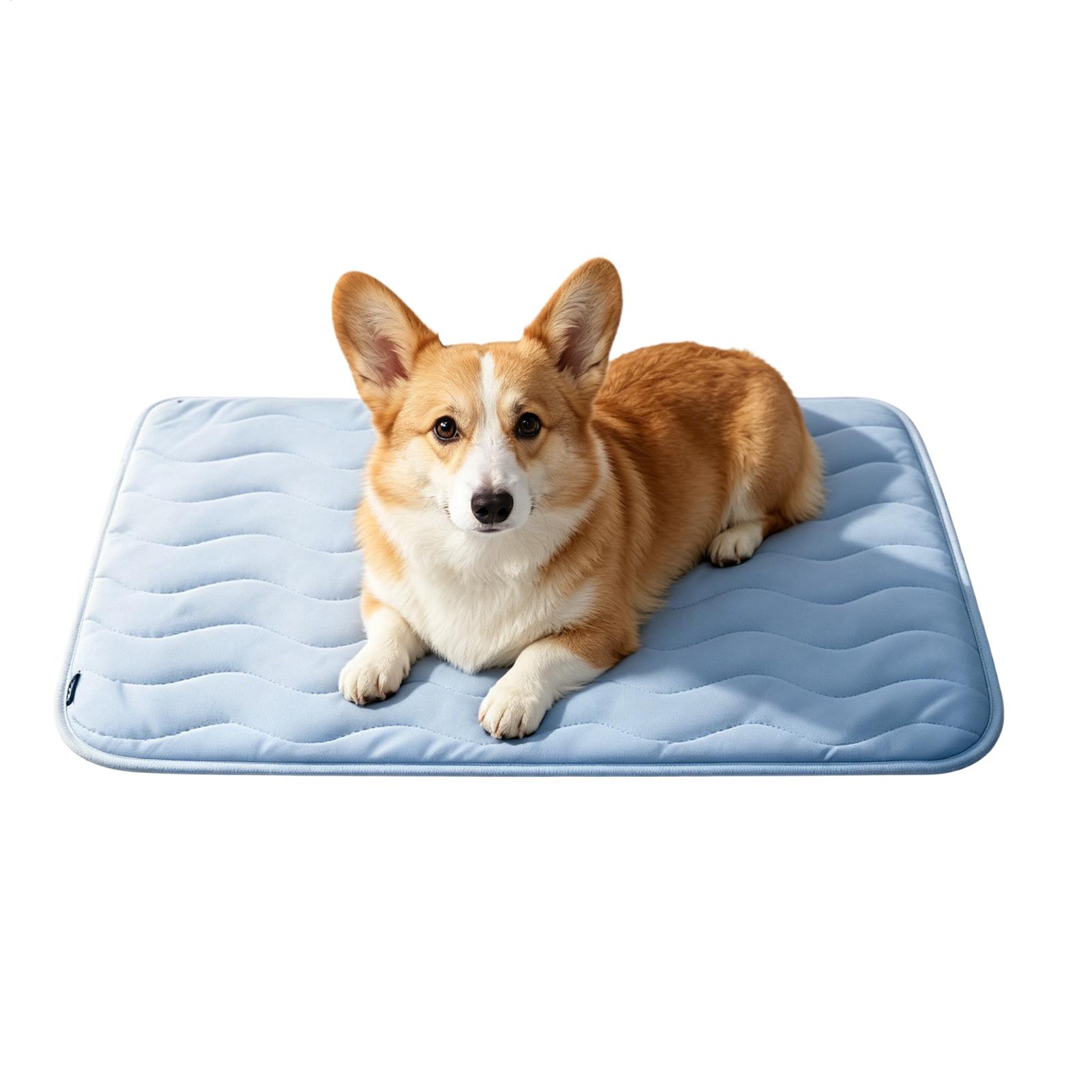 Alas Pendingin Anjing, Kasur D - Pet Supplies Dog Wash ulasan dan harga