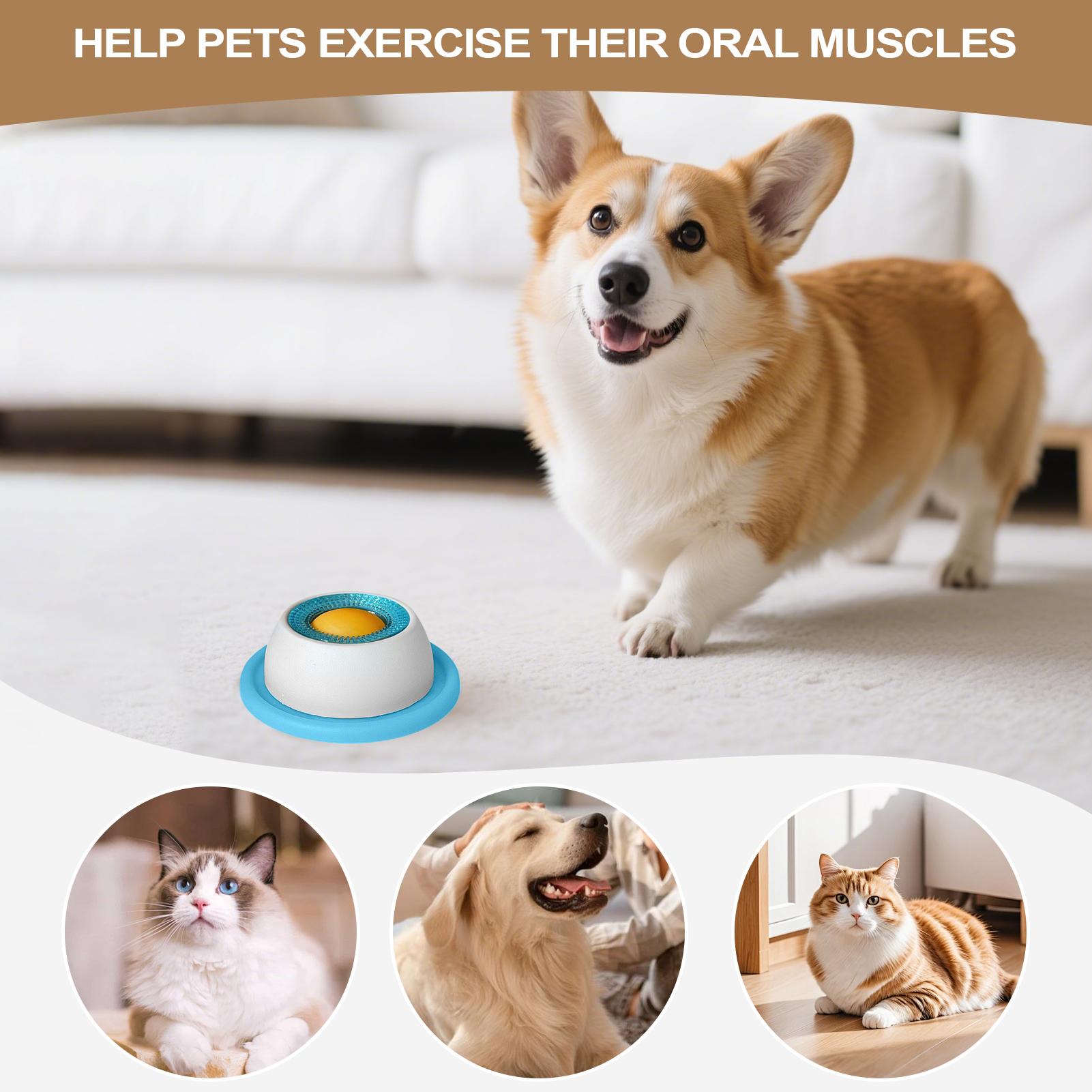 Aksesoris Makanan Hewan Peliha - Dog Treat Puzzle Toy ulasan dan harga